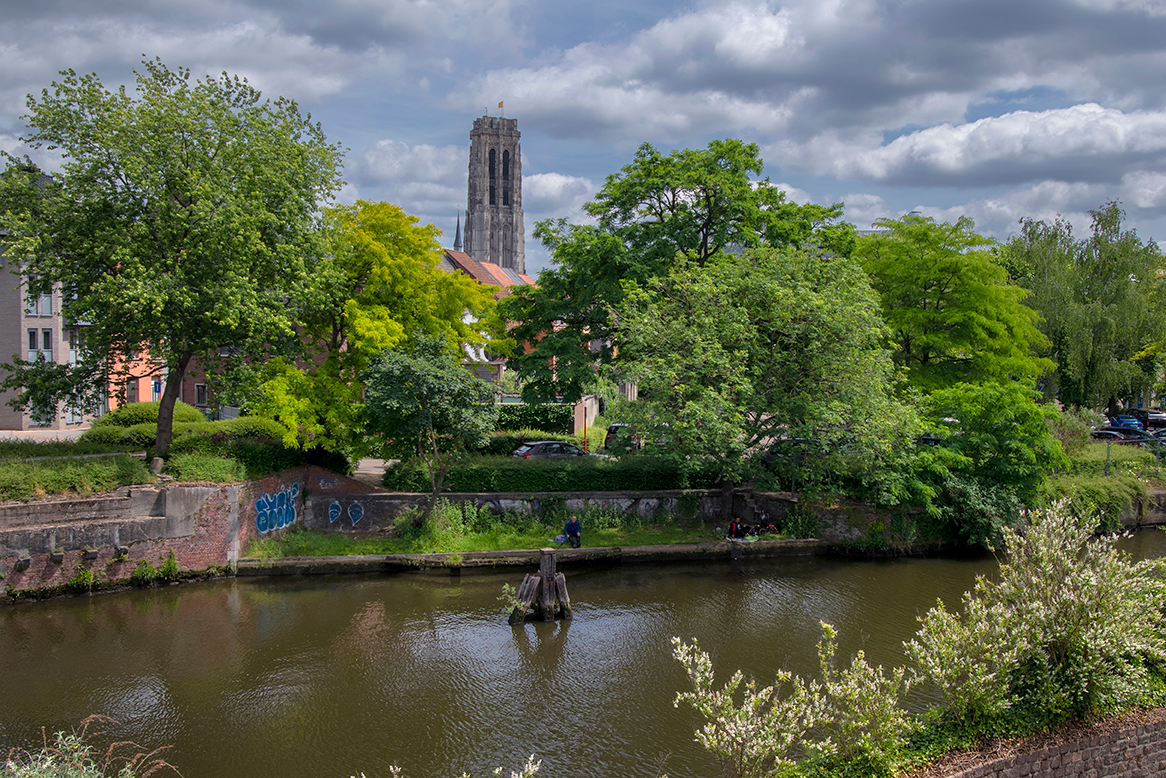 groene oevers mechelen